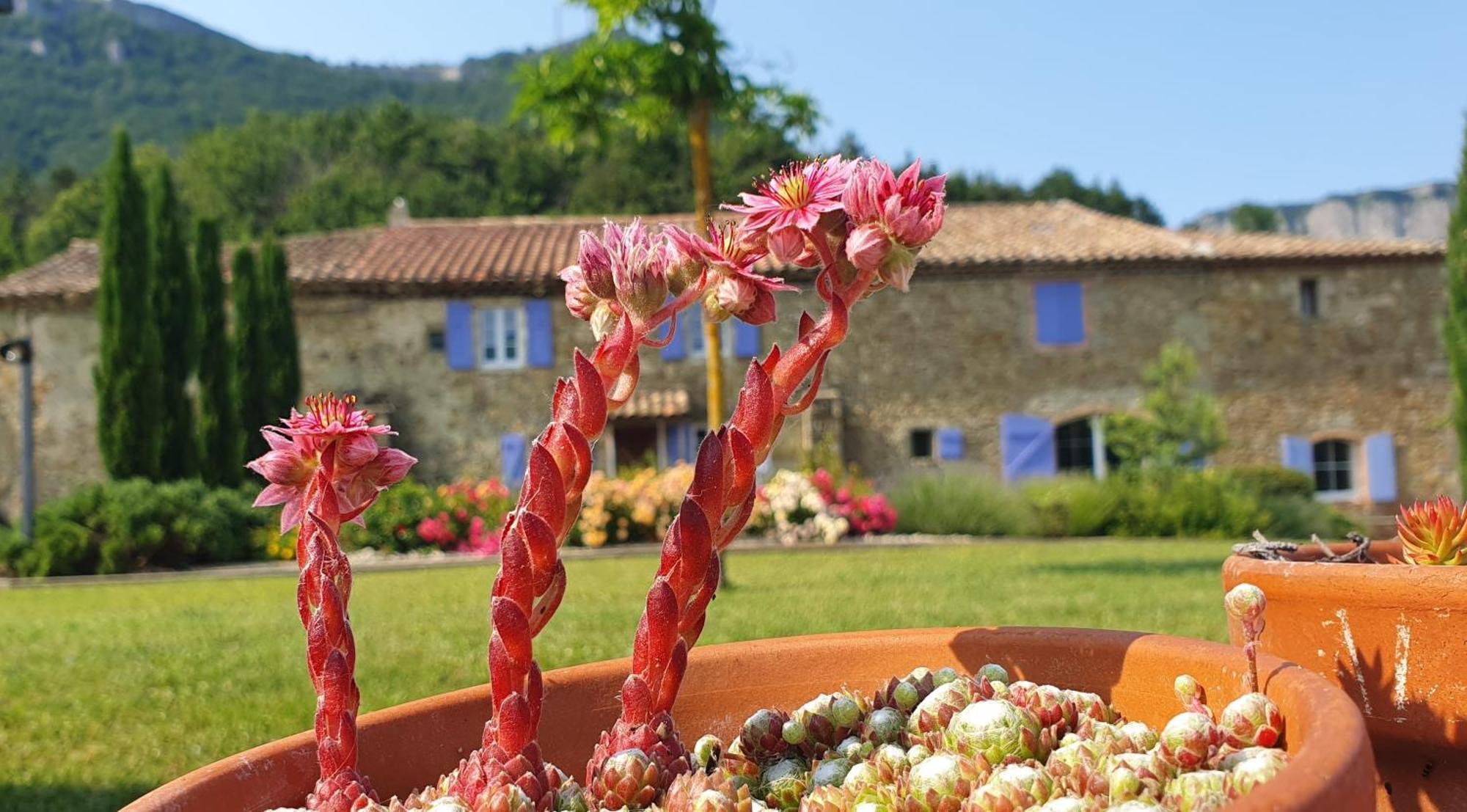 Chambre d'hôtes Le Saint Maurice Truinas Extérieur photo